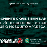 COM CHUVAS, CUIDADOS CONTRA MOSQUITO DEVEM SER REDOBRADOS