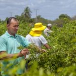 Você conhece a CNH do Agricultor Familiar? Saiba o que é e como solicitar