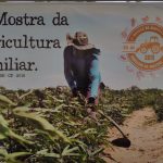 PELO SEGUNDO ANO, A MOSTRA DA AGRICULTURA FAMILIAR DE SALITRE É UM SUCESSO