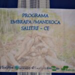 SALITRE CEARÁ – LANÇAMENTO DO PROGRAMA EMBRAPA MANDIOCA NO MUNICÍPIO DE SALITRE