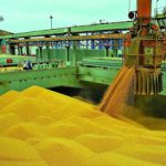 Brasil e China esmagam EUA: Acordo histórico acelera carne e soja com blockchain e ameaça domínio do dólar.